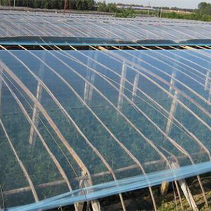 Quae sunt commoda et incommoda membranae vulgo in greenhouses?
